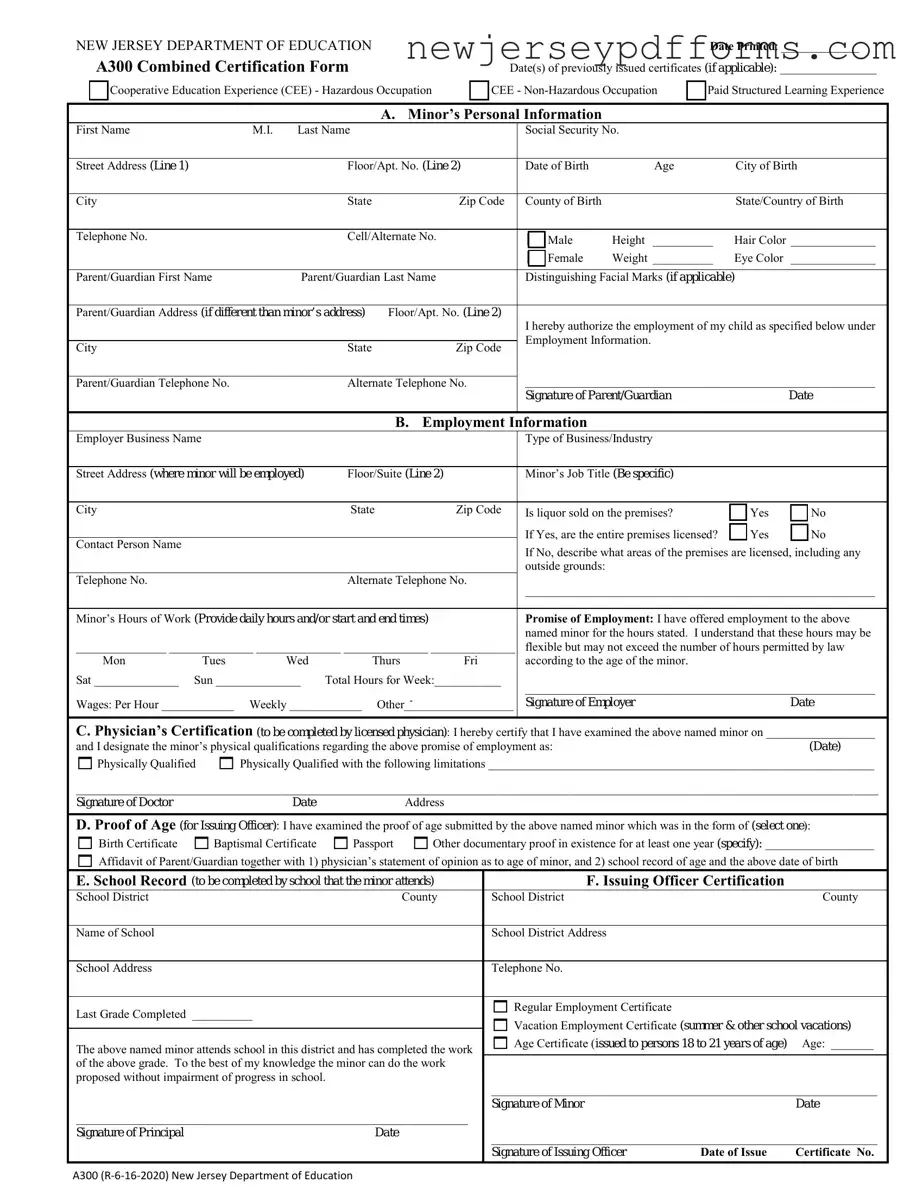 Printable Nj A300 Form